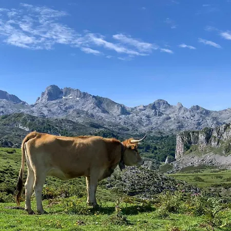 Διαμέρισμα Telena *